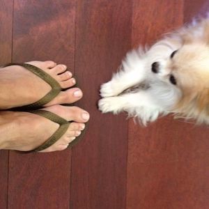 Meet your Posher, Heather